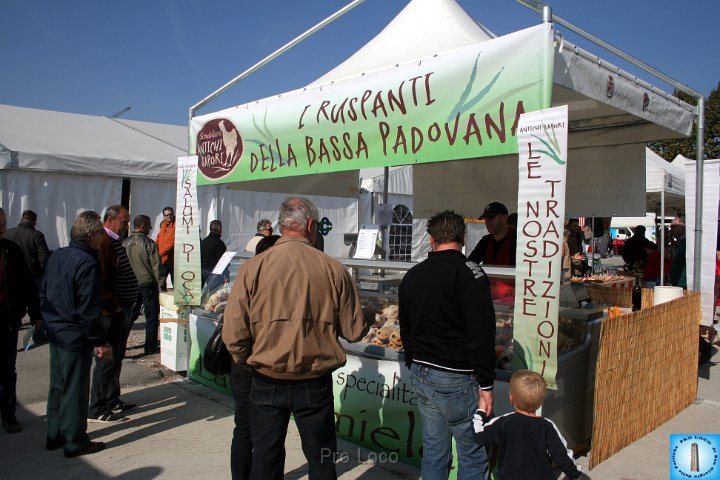 Area Fiera (367).JPG